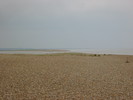 Shingle Street